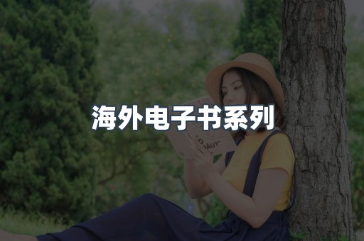 海外电子书系列
